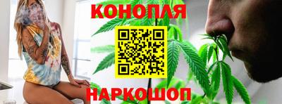 сатива Балахна