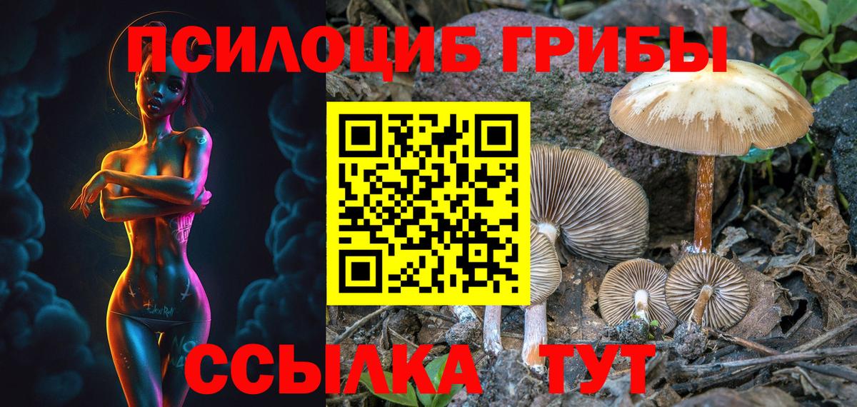 Псилоцибиновые грибы MAGIC MUSHROOMS  Псилоцибиновые грибы ЛСД  наркотики  Вход с VPN  Вязники 