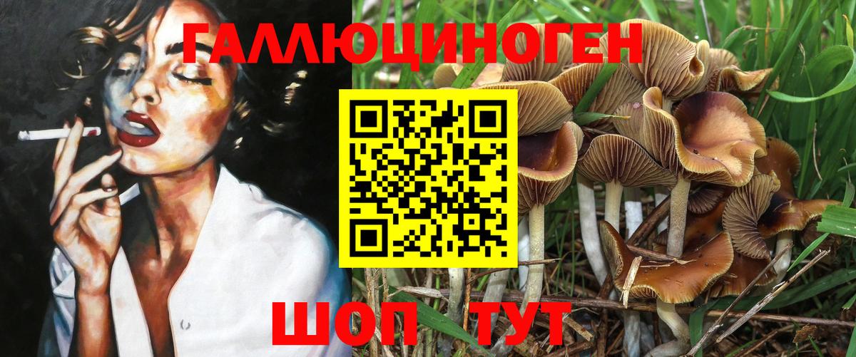 Галлюциногенные грибы прущие грибы Вязники